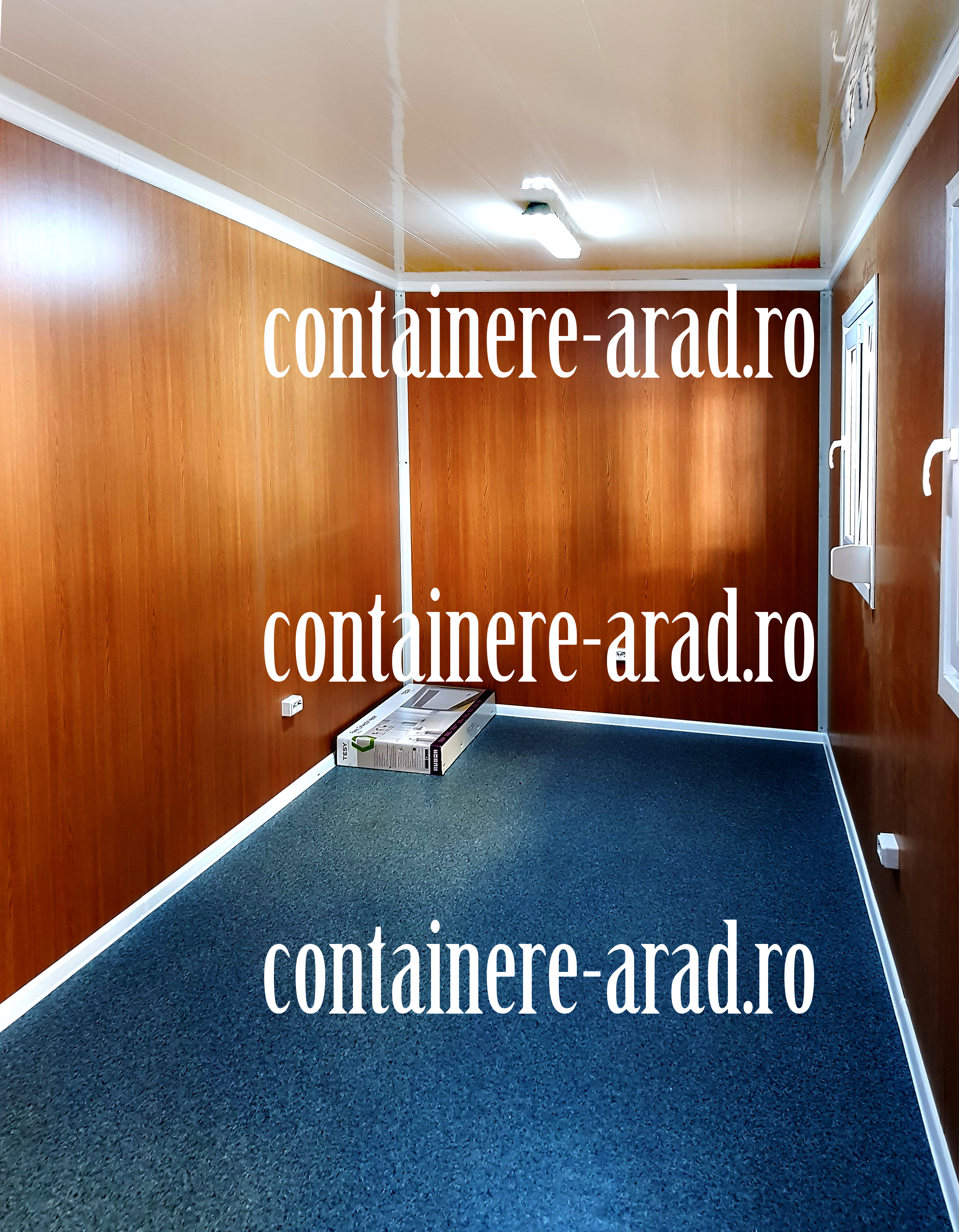 cat costa un container Arad